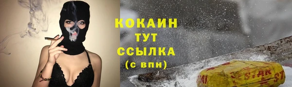кокс Алексин