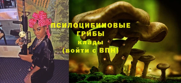 МДПВ Щигры