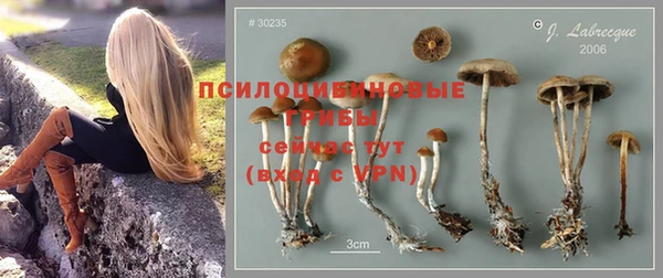 первитин Алексеевка